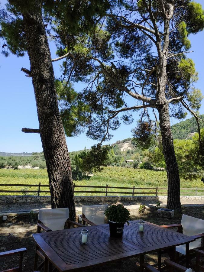 Villa Conifera Zakynthos stad Exteriör bild