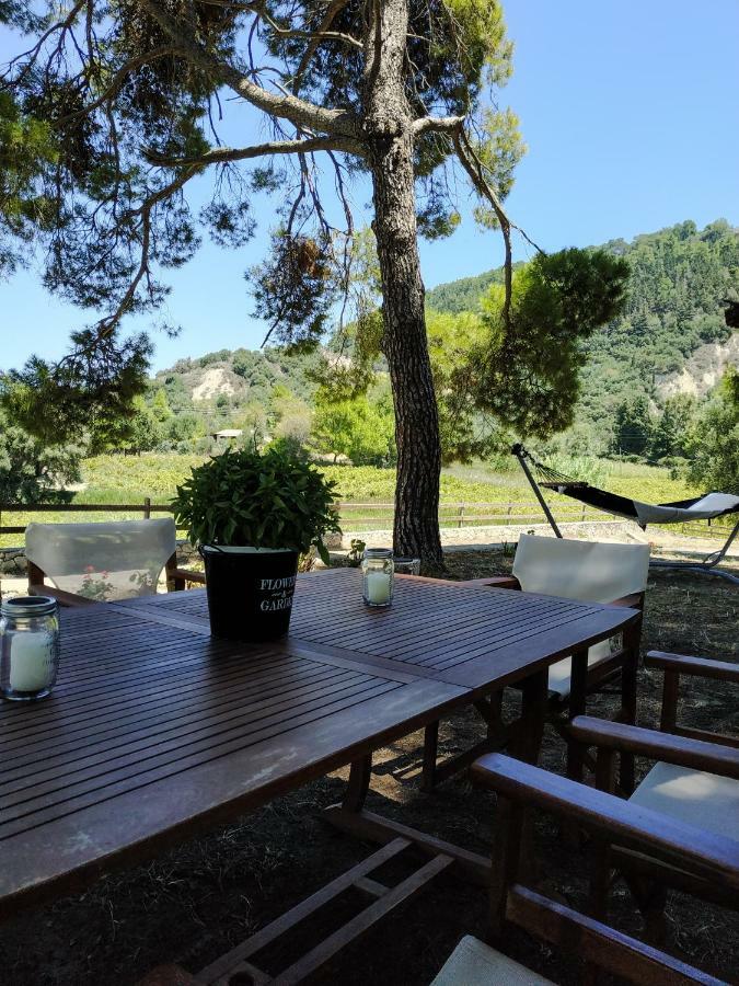 Villa Conifera Zakynthos stad Exteriör bild